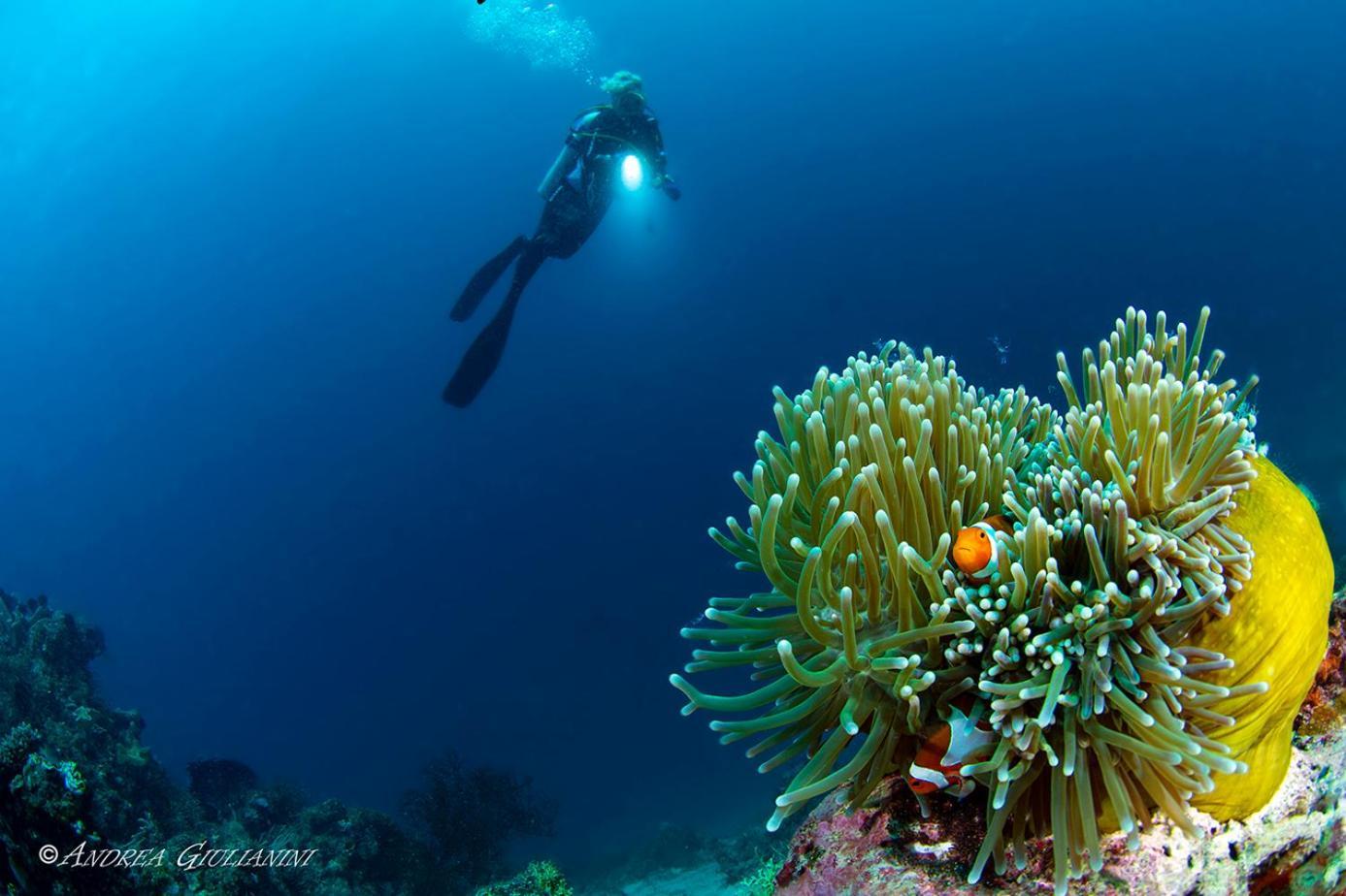 Sunset Cove Beach & Dive Resort Romblon Exterior foto